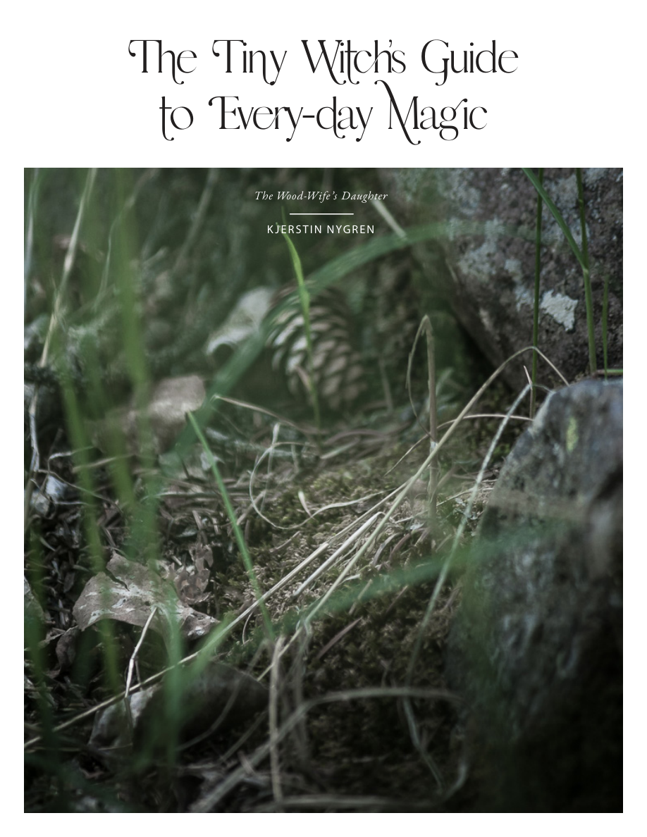 Cover of The Tiny Witch’s Guide to Every-day Magic by Kjerstin Nygren, featuring the forest floor